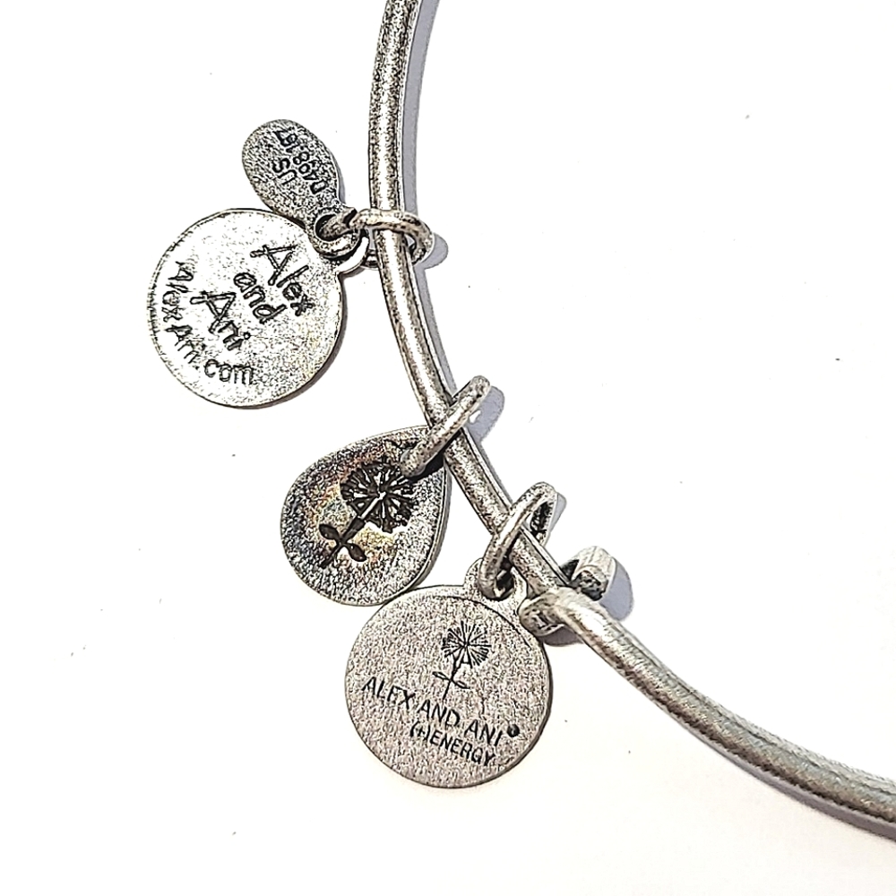 🦋 ALEX AND ANI "C" INITIAL BANGLE BRACELET - Picture 5 of 5